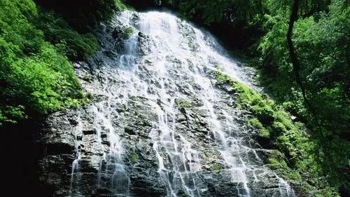 电子无人化高端